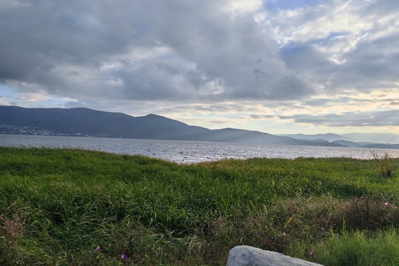 第十届河南羊业发展大会暨羊产业博览会在原阳举办