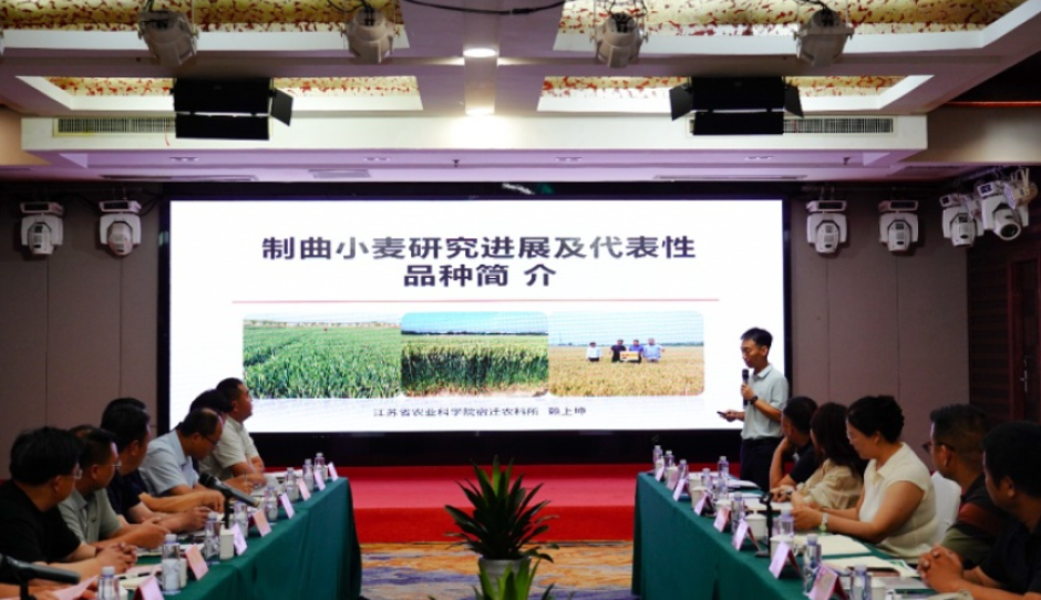 宿迁农科所牵头组织的亚夫科技搭建协同平台 聚力制曲小麦产业提质增效
