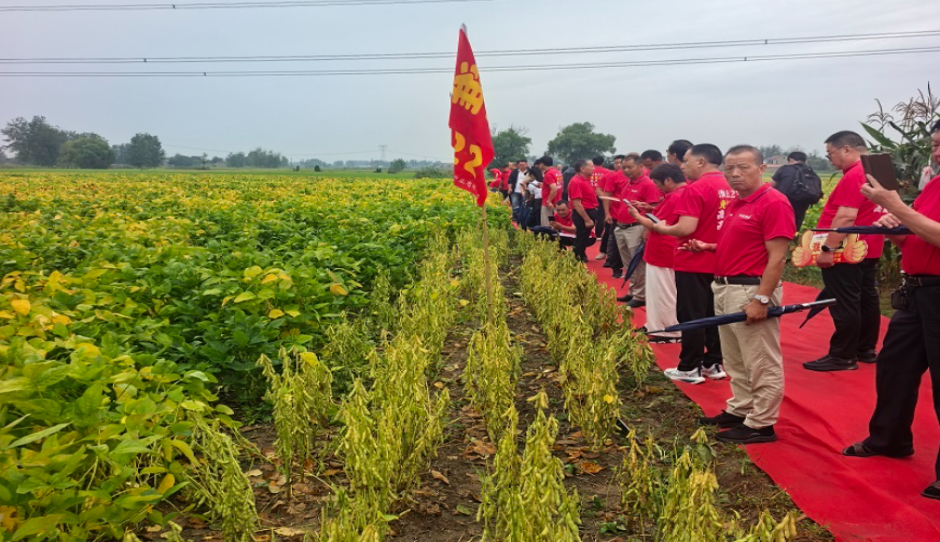观摩良种长势 推广丰产技术淮北地区夏大豆品种观摩推介会在涟水举办