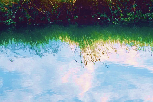 最新进展！《粉体食品包装用注塑盖》团体标准进入报批阶段